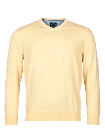Baileys V-neck pullover
