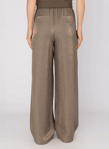 Anna van Toor Broek