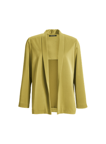 Swing Blazer 4al009