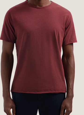 Dstrezzed T-shirt Mc.Queen
