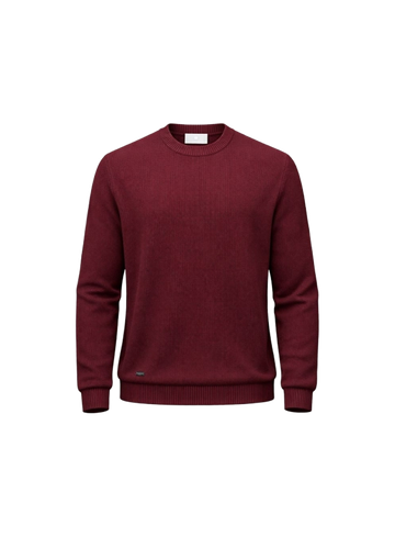 Born with Appetite Pullover Landon BWA26305LA46
